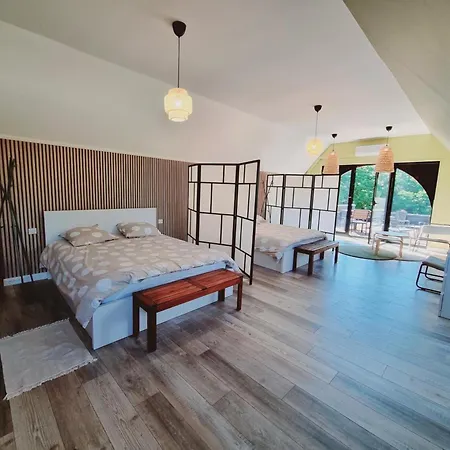 Bien-etre Avec Piscine, Et Sauna A - Fr-1-510-223 Apartment *